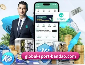 半岛综合 APP 深度功能